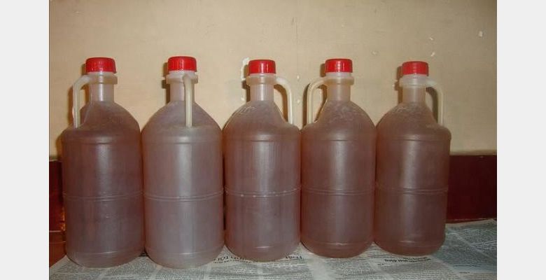 Đặng Hoàng Tuấn Anh - Quận 12 - Thành phố Hồ Chí Minh - Hình 1