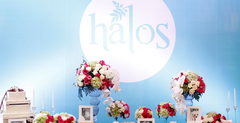 Halos Wedding - Hình 3