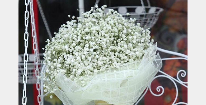 Art flower Shop - Quận 2 - Thành phố Hồ Chí Minh - Hình 5