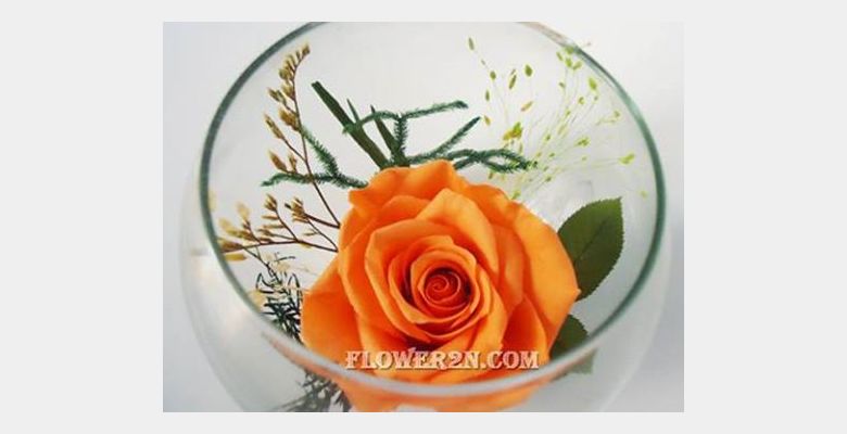 Hoa tươi ướp Flower2n - Quận Tân Bình - Thành phố Hồ Chí Minh - Hình 3