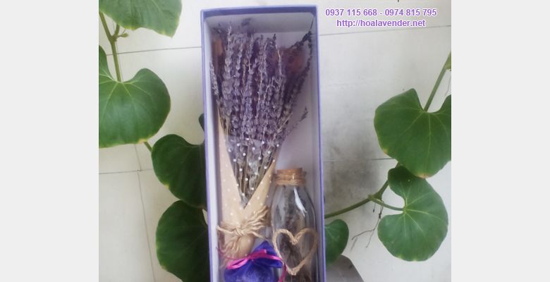 Shop hoa lavender khô LoveLy - Quận 1 - Thành phố Hồ Chí Minh - Hình 5