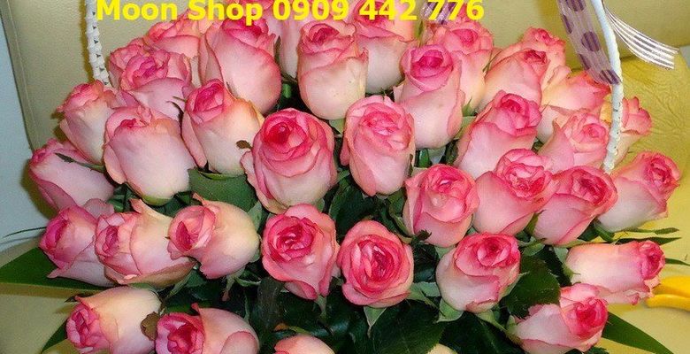 Hoa Tươi Moon Shop - Quận 7 - Thành phố Hồ Chí Minh - Hình 1