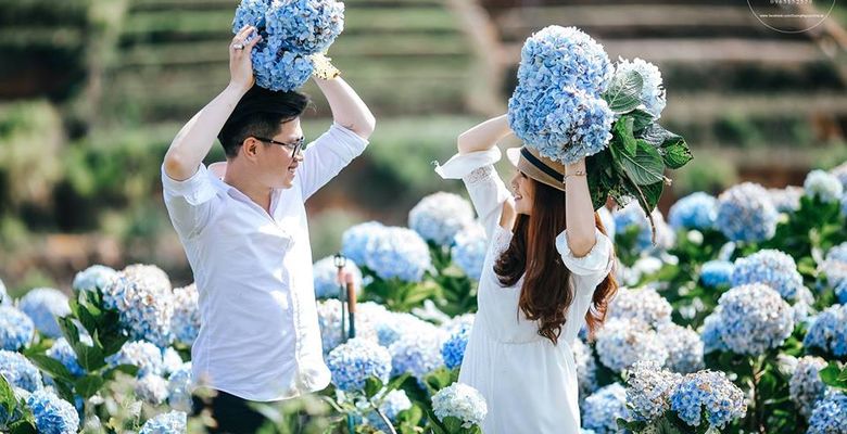 Dương Nguyễn Wedding - Thành phố Đà Lạt - Tỉnh Lâm Đồng - Hình 3