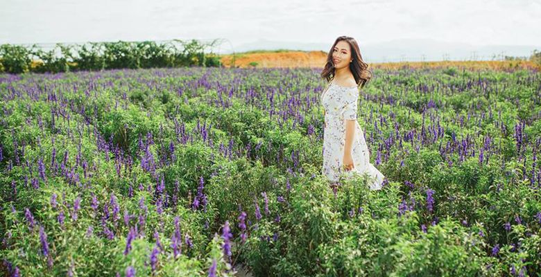 Ròm Studio - Thành phố Đà Lạt - Tỉnh Lâm Đồng - Hình 4