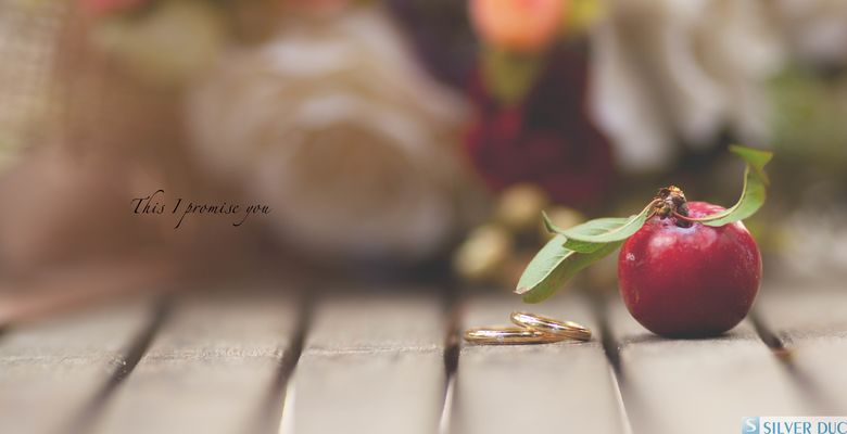 SilverDuc Dalat Studio - Quận 1 - Thành phố Hồ Chí Minh - Hình 8