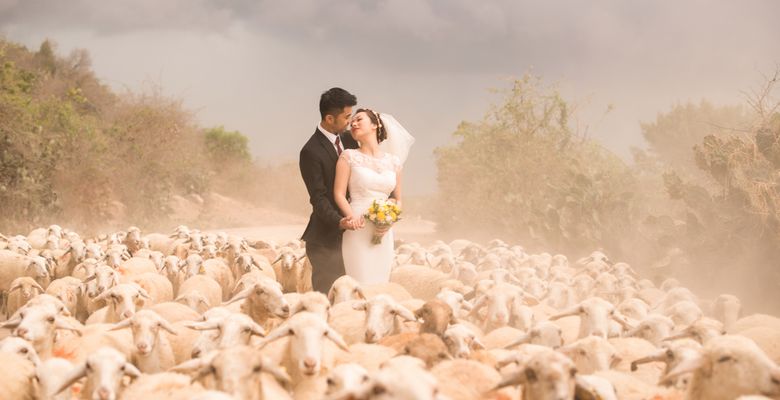 KLM Wedding House - Quận 1 - Thành phố Hồ Chí Minh - Hình 4
