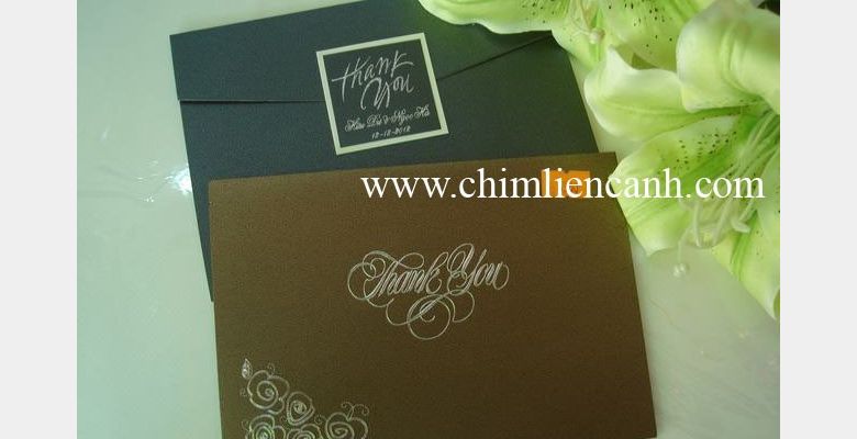 Chim Liền Cánh - Quận 10 - Thành phố Hồ Chí Minh - Hình 2