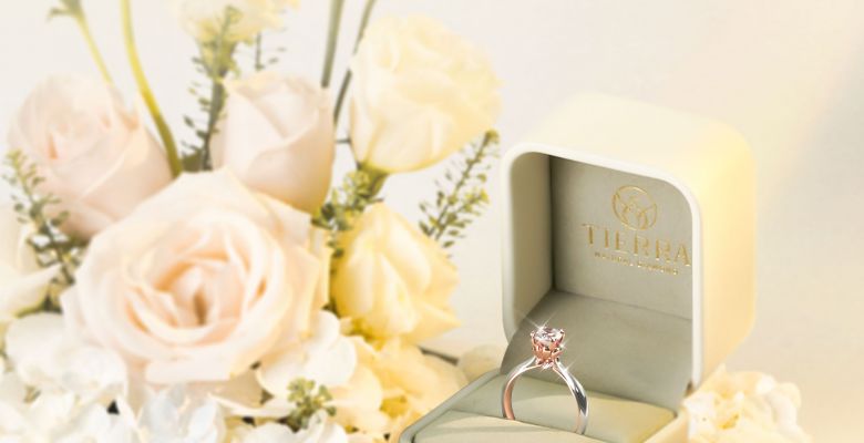 Tierra Diamond - Quận 1 - Thành phố Hồ Chí Minh - Hình 1