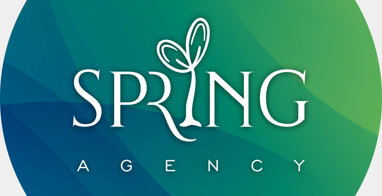SPRING Agency - Thành phố Phan Rang-Tháp Chàm - Tỉnh Ninh Thuận - Hình 1