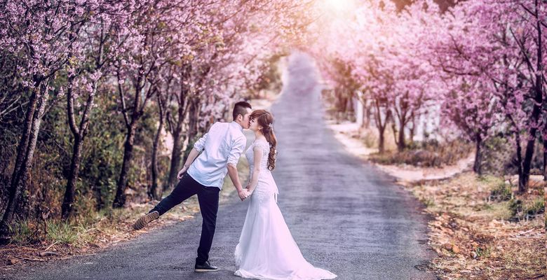 hieupham photo wedding - Thành phố Đà Lạt - Tỉnh Lâm Đồng - Hình 1