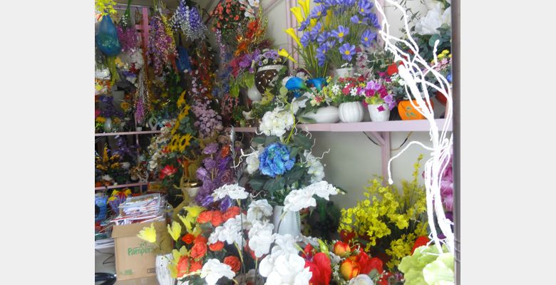 Shop hoa Lê Nam - Quận Kiến An - Thành phố Hải Phòng - Hình 3