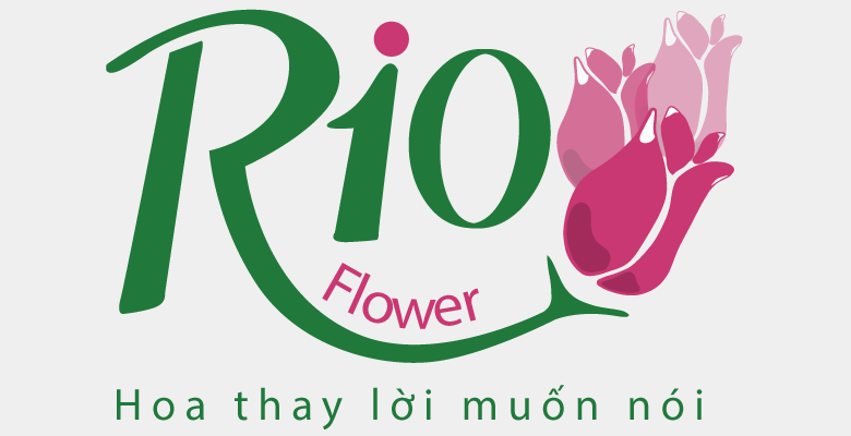 Shop hoa tươi Rio - Quận Tân Bình - Thành phố Hồ Chí Minh - Hình 1