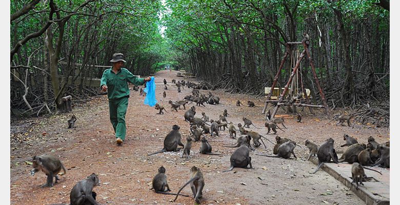 Cần Giờ Resort - Huyện Cần Giờ - Thành phố Hồ Chí Minh - Hình 1