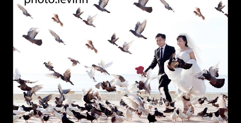 Áo cưới Lê Vinh - Quận Liên Chiểu - Thành phố Đà Nẵng - Hình 3