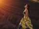 Ảnh cưới hoa oải ương Lavande tại Valensol Miền Nam Pháp - Iristudio - Hình 2