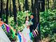 Pre Wedding : Huy Phượng - Mỹ Loan - La Vĩnh Studio - Hình 3