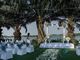 Cause you're my Muse - YourDay Wedding Planner &amp; Event - Hình 1