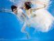 Ảnh cưới tuyệt đẹp dưới nước - Mr Sam Photography - Hình 2