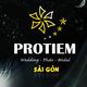 Logo Protiem Studio