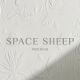 SpaceSheep Wedding - Phóng Sự Cưới - Quận Tân Bình - Thành phố Hồ Chí Minh